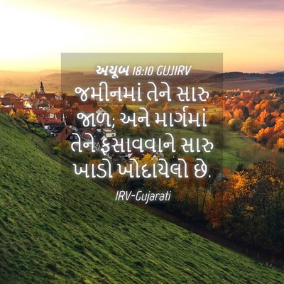 Picture 04 - અયૂબ 18:10 GUJIRV - જમીનમાં તેને સારુ - Bible Verse Picture