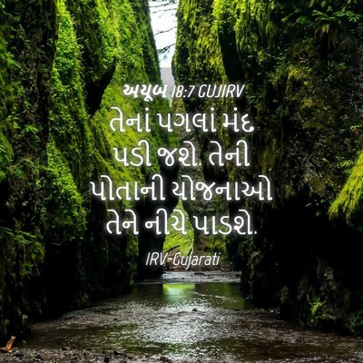 Picture 04 - અયૂબ 18:7 GUJIRV - તેનાં પગલાં મંદ - Bible Verse Picture