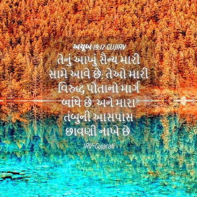 Picture 04 - અયૂબ 19:12 GUJIRV - તેનું આખું સૈન્ય - Bible Verse Picture