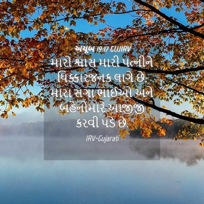 Picture 04 - અયૂબ 19:17 GUJIRV - મારો શ્વાસ મારી - Bible Verse Picture