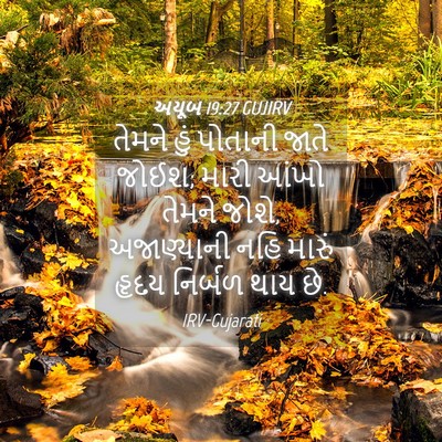 Picture 04 - અયૂબ 19:27 GUJIRV - તેમને હું પોતાની - Bible Verse Picture