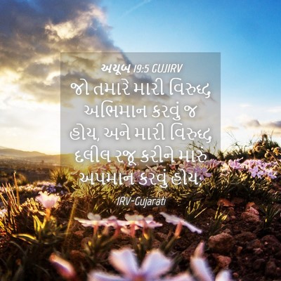 Picture 04 - અયૂબ 19:5 GUJIRV - જો તમારે મારી - Bible Verse Picture