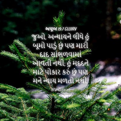 Picture 04 - અયૂબ 19:7 GUJIRV - જુઓ, અન્યાયને લીધે - Bible Verse Picture