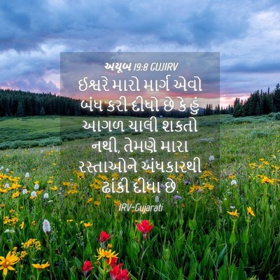 Picture 04 - અયૂબ 19:8 GUJIRV - ઈશ્વરે મારો માર્ગ - Bible Verse Picture