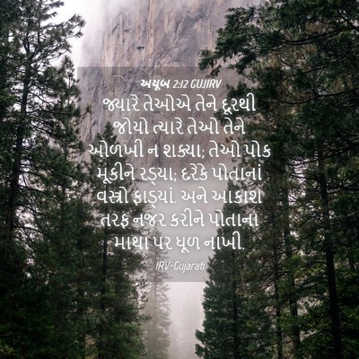 Picture 04 - અયૂબ 2:12 GUJIRV - જ્યારે તેઓએ તેને - Bible Verse Picture