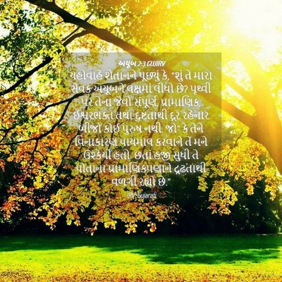 Picture 04 - અયૂબ 2:3 GUJIRV - યહોવાહે શેતાનને - Bible Verse Picture