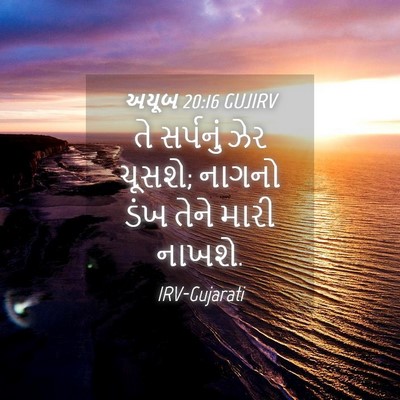 Picture 04 - અયૂબ 20:16 GUJIRV - તે સર્પનું ઝેર - Bible Verse Picture