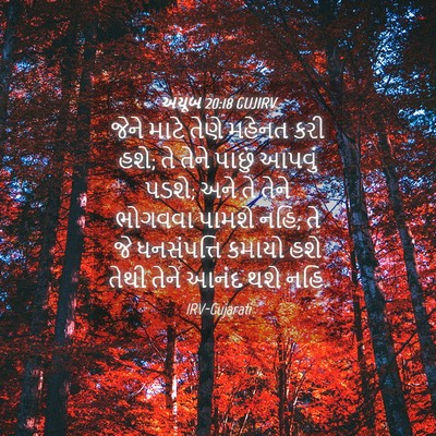 Picture 04 - અયૂબ 20:18 GUJIRV - જેને માટે તેણે - Bible Verse Picture