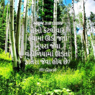 Picture 04 - અયૂબ 21:18 GUJIRV - તેઓ કેટલીવાર - Bible Verse Picture