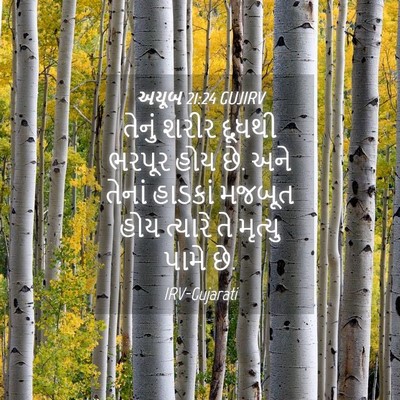 Picture 04 - અયૂબ 21:24 GUJIRV - તેનું શરીર દૂધથી - Bible Verse Picture