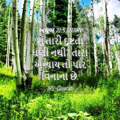 Picture 04 - અયૂબ 22:5 GUJIRV - શું તારી દુષ્ટતા - Bible Verse Picture