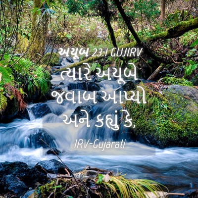 Picture 04 - અયૂબ 23:1 GUJIRV - ત્યારે અયૂબે જવાબ - Bible Verse Picture