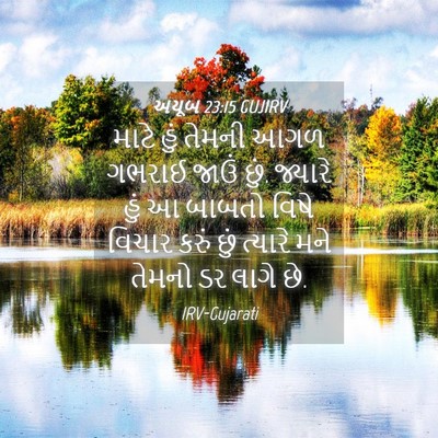 Picture 04 - અયૂબ 23:15 GUJIRV - માટે હું તેમની આગળ - Bible Verse Picture