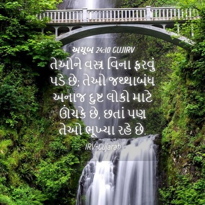 Picture 04 - અયૂબ 24:10 GUJIRV - તેઓને વસ્ત્ર વિના - Bible Verse Picture