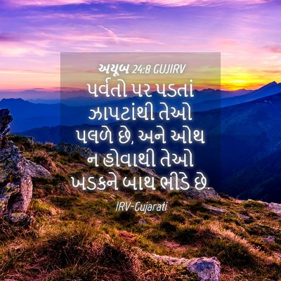 Picture 04 - અયૂબ 24:8 GUJIRV - પર્વતો પર પડતાં - Bible Verse Picture
