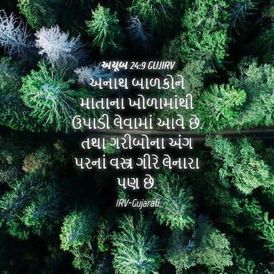 Picture 04 - અયૂબ 24:9 GUJIRV - અનાથ બાળકોને - Bible Verse Picture