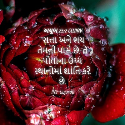 Picture 04 - અયૂબ 25:2 GUJIRV - “સત્તા અને ભય - Bible Verse Picture