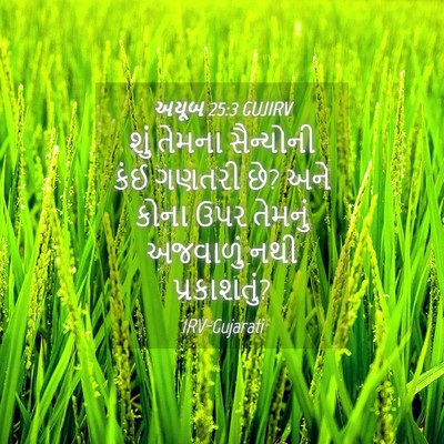 Picture 04 - અયૂબ 25:3 GUJIRV - શું તેમના - Bible Verse Picture