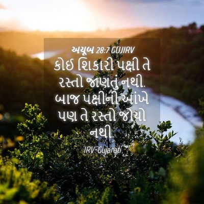 Picture 04 - અયૂબ 28:7 GUJIRV - કોઈ શિકારી પક્ષી - Bible Verse Picture