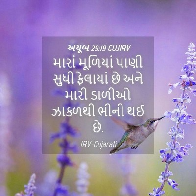 Picture 04 - અયૂબ 29:19 GUJIRV - મારાં મૂળિયાં - Bible Verse Picture