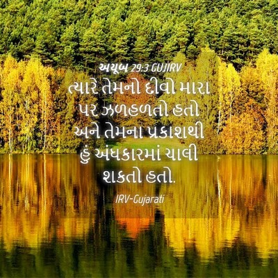 Picture 04 - અયૂબ 29:3 GUJIRV - ત્યારે તેમનો દીવો - Bible Verse Picture