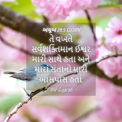 Picture 04 - અયૂબ 29:5 GUJIRV - તે વખતે - Bible Verse Picture