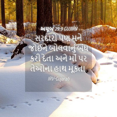 Picture 04 - અયૂબ 29:9 GUJIRV - સરદારો પણ મને - Bible Verse Picture