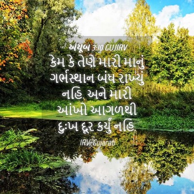 Picture 04 - અયૂબ 3:10 GUJIRV - કેમ કે તેણે મારી - Bible Verse Picture