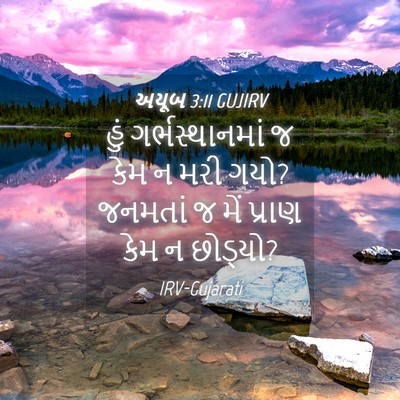 Picture 04 - અયૂબ 3:11 GUJIRV - હું ગર્ભસ્થાનમાં - Bible Verse Picture
