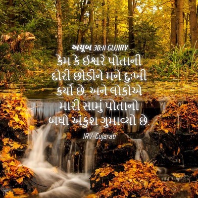 Picture 04 - અયૂબ 30:11 GUJIRV - કેમ કે ઈશ્વરે - Bible Verse Picture