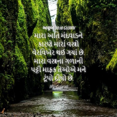 Picture 04 - અયૂબ 30:18 GUJIRV - મારા અતિ મંદવાડને - Bible Verse Picture