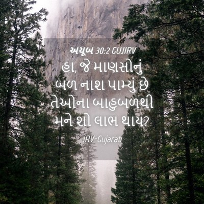 Picture 04 - અયૂબ 30:2 GUJIRV - હા, જે માણસોનું બળ - Bible Verse Picture