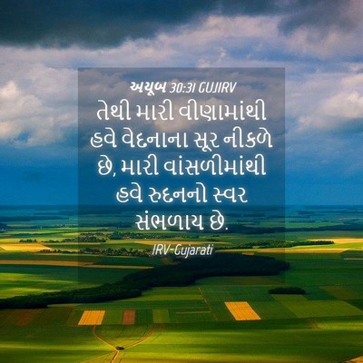 Picture 04 - અયૂબ 30:31 GUJIRV - તેથી મારી - Bible Verse Picture