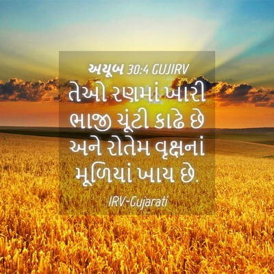 Picture 04 - અયૂબ 30:4 GUJIRV - તેઓ રણમાં ખારી - Bible Verse Picture