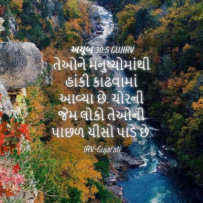 Picture 04 - અયૂબ 30:5 GUJIRV - તેઓને - Bible Verse Picture