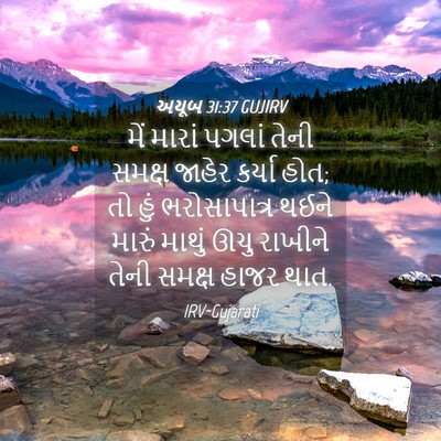 Picture 04 - અયૂબ 31:37 GUJIRV - મેં મારાં પગલાં - Bible Verse Picture