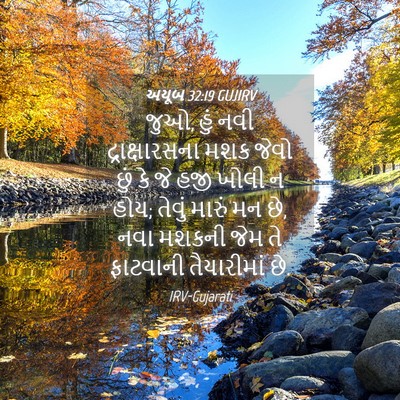 Picture 04 - અયૂબ 32:19 GUJIRV - જુઓ, હું નવી - Bible Verse Picture