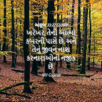 Picture 04 - અયૂબ 33:22 GUJIRV - ખરેખર, તેનો આત્મા - Bible Verse Picture