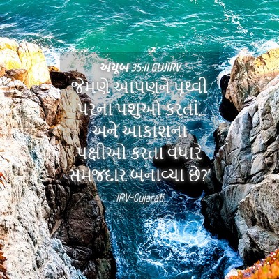 Picture 04 - અયૂબ 35:11 GUJIRV - જેમણે આપણને - Bible Verse Picture