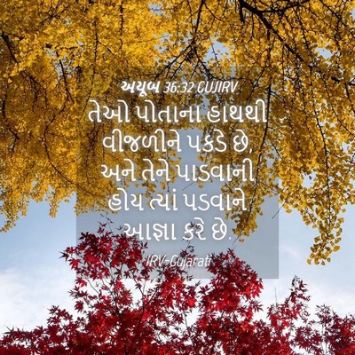 Picture 04 - અયૂબ 36:32 GUJIRV - તેઓ પોતાના હાથથી - Bible Verse Picture