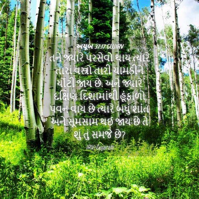 Picture 04 - અયૂબ 37:17 GUJIRV - તને જ્યારે પરસેવો - Bible Verse Picture