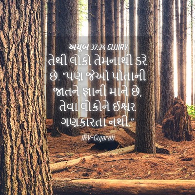 Picture 04 - અયૂબ 37:24 GUJIRV - તેથી લોકો તેમનાથી - Bible Verse Picture