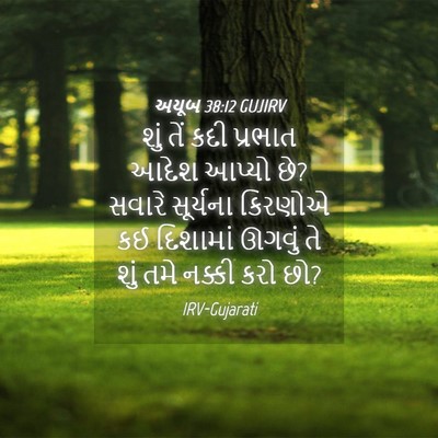 Picture 04 - અયૂબ 38:12 GUJIRV - શું તેં કદી પ્રભાત - Bible Verse Picture