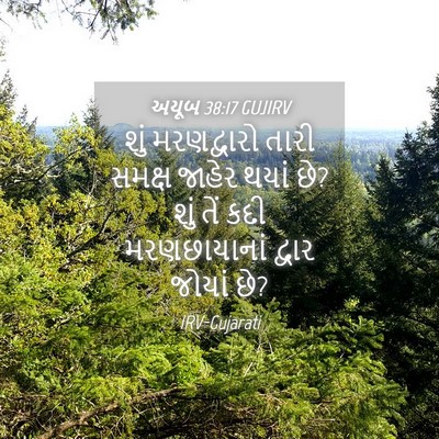Picture 04 - અયૂબ 38:17 GUJIRV - શું મરણદ્વારો - Bible Verse Picture