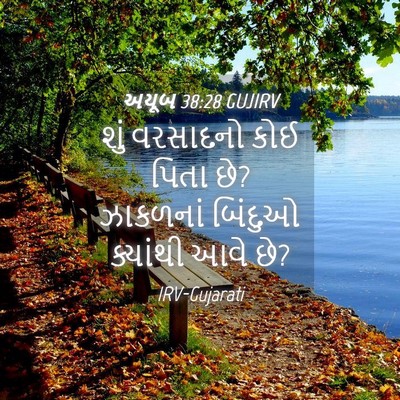Picture 04 - અયૂબ 38:28 GUJIRV - શું વરસાદનો કોઈ - Bible Verse Picture