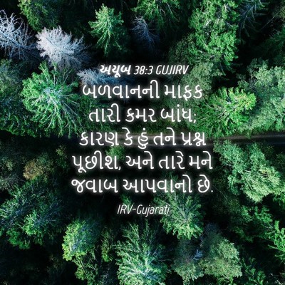 Picture 04 - અયૂબ 38:3 GUJIRV - બળવાનની માફક તારી - Bible Verse Picture