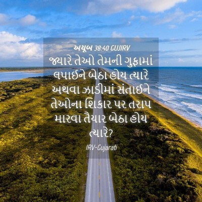 Picture 04 - અયૂબ 38:40 GUJIRV - જ્યારે તેઓ તેમની - Bible Verse Picture