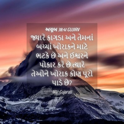 Picture 04 - અયૂબ 38:41 GUJIRV - જ્યારે કાગડા અને - Bible Verse Picture