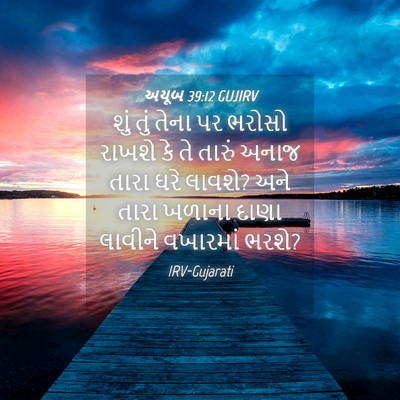 Picture 04 - અયૂબ 39:12 GUJIRV - શું તું તેના પર - Bible Verse Picture