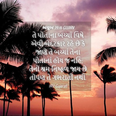 Picture 04 - અયૂબ 39:16 GUJIRV - તે પોતાના બચ્ચાં - Bible Verse Picture